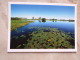 Australia  Yellow Waters Im Kakadu N.P.  - Northern Territory  -  German  Postcard    D121176 - Kakadu