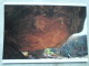 Australia  -  UBIRR ROCK   KAKADU National Park - N.T.   German  Postcard    D121339 - Kakadu