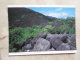 Australia  - Cape York - Black Rock  National Park - QLD    German  Postcard    D121355 - Autres & Non Classés
