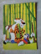 Tiger -Walt Disney Production   Verona -  Sent From Hamburg  To Hungary  1981     D121378 - Tigers