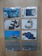 RARE : LOT DE 14 CARTES DE TELEPHONNES COCCINELLE BEETTLE VOLSWAGEN - Automobili