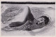 GERMANY-OLYMPIADES 1936-image-photo 12x8 Cm-natation Jack Medica - Sport