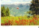 Lions Head Gondola And Indian Paintbrush, Vail, Colorado - Rocky Mountains