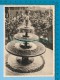 Beer Fountain Germany, Luebbecke ( Eine Stiftung Der Barre-brauerei, Fontaine De Bière) Real Photo Reel Postcard 2scans - Luebbecke