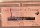 17 - DOMPIERRE SUR MER - RARE ACTION 250 FRANCS AU PORTEUR- CHAUX HYDRAULIQUES DE SAINT LEONARD- LA ROCHELLE 1ER-02-1921 - Other & Unclassified