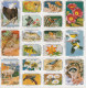 USA National Wildlife Federation Labels In Complete Sheet Of 36 Stamps - LABELS! - Other & Unclassified