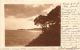 [DC5945] CARTOLINA - MARE O LAGO? ALBERI - Viaggiata - Old Postcard - Non Classificati