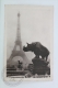 Old Postcard France, Paris - Tour Eiffel & Rhinoceros/ Rhino - Posted 1930 - Tour Eiffel