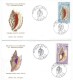 Nlle Calédonie FDC ( X 4 ) Primer Dia Coquillages Shells Lettre Belege Cover Brief Sobre - Coneshells