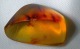 Amber Dominican Republic With Insects: Diptera - Lot.4 - Fossielen