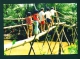 VIETNAM  -  Monkey Bridge  Mekong Delta  Used Postcard As Scans - Vietnam