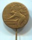 BILLIARDS / POOL / SNOOKER - Vintage Pin, Badge - Billard