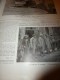 1915 GUERRE:Pain Français BON; Le Vétéran TIBLE; Alexandre De SERBIE;Mlle Canton-Baccara Héroïque Ambulancière;La Poste - L'Illustration