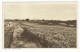 Australia, Queensland (QLD), Maryborough, Huxley, North Coast Railway Station, Sugar Cane Mills, Printed Postcard - Autres & Non Classés