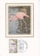 Animaux, Flamant Rose, Carte Maximum Soie France Et Une Autre, Yvert 1634, Paris 1970 - Flamants