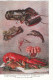 CUISINE - " The Encycopedia Of Food " Par Artemas Ward ( 1848 - 1925 ) - 1ere édition 1923 - Cuisine Générale