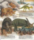 GUIDE DOMINO GALLIA N°11 EN COULEUR EN FORME DE CARTE ROUTIERE 24 PLANCHES 11cmX25cm DINOSAURES PREHISTORIQUE PROTOCERAT - Other & Unclassified