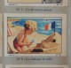 Delcampe - Album Nestlé 1939-1940 : Sports, Animaux, Paysages De France (incomplet Comme Souvent) - Albums & Catalogues