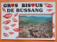 V09-88-A-vosges--gros Bisous De Bussang--vue Generale-- - Chatenois