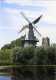 WOUDRICHEM (Noord-Brabant) - Molen/moulin - Mooie Opname Van Molen "Nooit Gedagt" (opgezeild En In Werking) Met De Kerk - Altri & Non Classificati