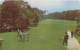Golfing On A Beautiful Course - Golf