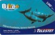 Dolphin D On Greece Card, 2 Scans. - Delfines