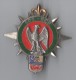 INSIGNE 602° RCR REGIMENT CIRCULATION ROUTIERE FONTAINEBLEAU - DELSART G 4047 - Armée De Terre