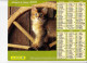 Almanach Des PTT 2001, Chat Sur Une Roue De Charrette / Chaton Caché, J. CARTIER BRESSON - Grand Format : 2001-...