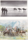 CHEVAUX : Lot De 14 Cartes Postales - Caballos