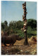 (ORL 55) USA - Disneyland Trapped Safari - Rhinoceros - Cheetah Etc - Disneyland