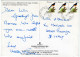 MALAYSIA - SHANGRI-LA'S TANJUNG ARU RESORT & SPA-KOTA KINABALU,SABAH / THEMATIC STAMPS-BIRD - Malesia