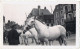 Photo  Concours   1946      Cheveaux   7 Cm X 11.5 Cm - Photos Stéréoscopiques