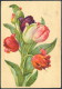 1956 USSR Tulips Flowers Stationery Postcard - 1950-59