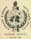 EGYPT / 1958 / PALESTINE / GAZA  / HUMAN RIGHTS / 2 FDCS WITH DIFFERENT ILLUSTRATIONS / VERY RARE - Palestina