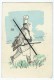 Carte Illustrateurs - TETSU - Chasse, Chasseur- - Sonstige & Ohne Zuordnung