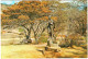 Umtali - Christmas Pass:  Kingsley-Fairbridge Memorial - Rhodesia - Zimbabwe