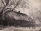 Photo Janvier 1918 PLOZAN - Une Maison D'habitation (A91, Ww1, Wk 1) - Latvia