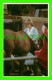 ROYAL FAMILIES - PRINCESS DIANA, WITH HER HORSE TAME TAMING - ROYAL FAMILY 1982 - PRESCOTT PICKUP & CO - - Familles Royales