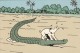 Thématiques Tintin Et Milou  Tintin Au Congo Alligator Ou Crocodile C'est Caïmans Pareil - Bandes Dessinées