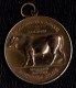 SUPERBE MEDAILLE Signée J. DILLENS - AMELIORATION DE LA RASSE BOVINE  - VERBETERING RUNDERRAS - Autres & Non Classés