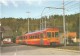 TRAIN Suisse - EISENBAHN Schweiz - Gare De SAINT-CERGUE - Autorail (tramway) - Photo E. Rahm - Gares - Avec Trains