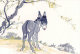 (N54-091  )  Anes Esel Donkey Burros Y Asnos, Postal Stationery-Entier Postal-Ganzsache-Postwaar Destuk - Donkeys
