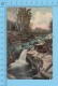 White Mountain N.H. (  Upper Falls Of The Ammonoosuc, Breton Woods ) Carte Postale Postcard Recto/verso - White Mountains