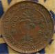 SRI LANKA BRITISH CEYLON 1 CENT HEAD QV FRONT PALM TREE BACK 1890 KM92 AVF READ DESCRIPTION CAREFULLY !!! - Sri Lanka