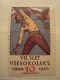 TCHECOSLOVAQUIE . PRAGUE . VSESOKOLSKY SLET V PRAZE 1920 (VII) 1948 (XI) . 2 Vignettes - Autres & Non Classés