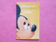 PASSEPORT DISNEY ADULTE - Disney Passports