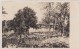 CARTE PHOTO,EGYPTE,EGYPT,LE CAIRE,CAIRO,tampon Et Timbre 1926,marcophilie,ferme,ag Riculture,vigne - Cairo