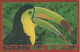 AK Costa Rica Tucan Toucan Tukan Central America Mittelamerika Centroamerica America Central Amerique Centrale - Costa Rica