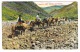 RB 1002 - 1910 Postcard - Camel Train Las Palmas Gran Canaria Spain - Cape Verde Paquebot On GB Stamp To Ireland - Cap Vert
