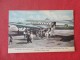 Bermudians Greet Colonial Airlines      --------Reference 1667 - 1946-....: Ere Moderne